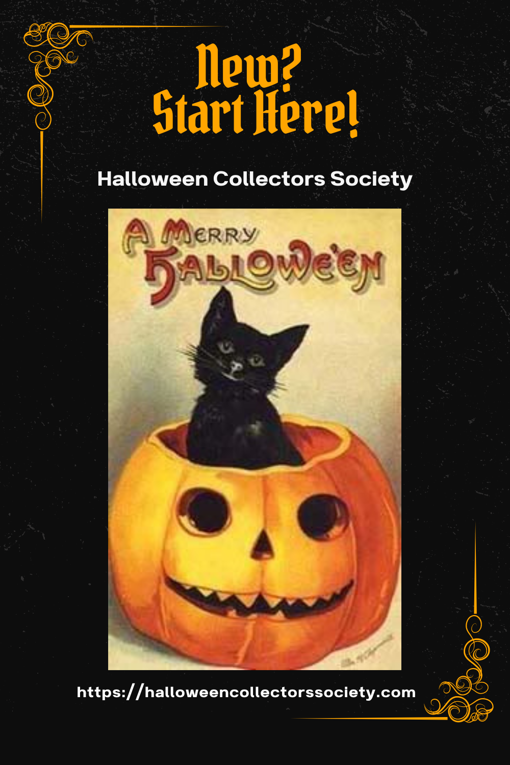 A halloween postcard image with a black cat in a pumpkin.